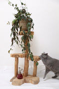 Load image into Gallery viewer, Wooden plant stand - 1m