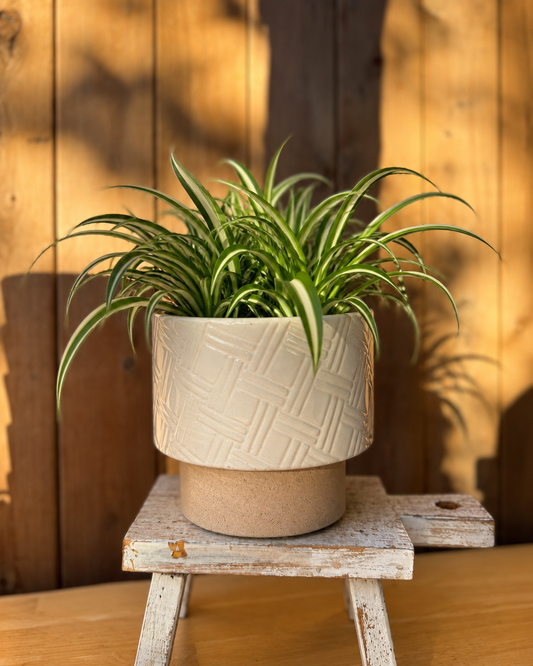 Aztec raised planter
