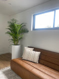 Load image into Gallery viewer, Golden cane palm in the tall corrugated pot