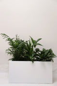 Load image into Gallery viewer, White rectangular planter