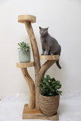 Load image into Gallery viewer, Wooden plant stand - 1.3m