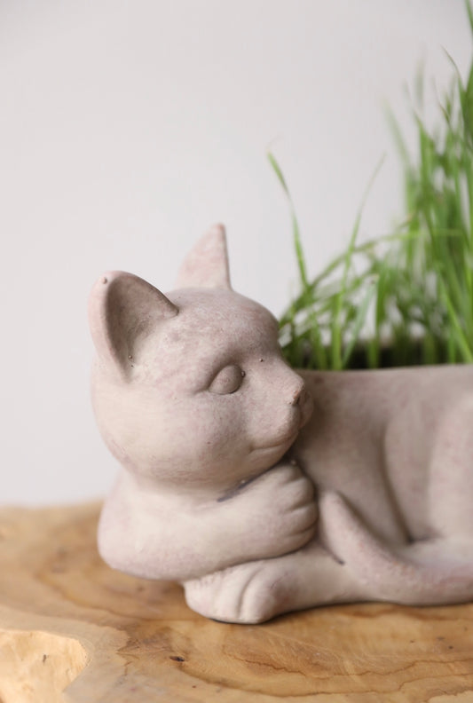 Lazy cat pot with cat grass