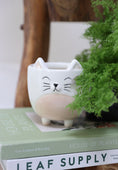 Load image into Gallery viewer, Cat grass in the cat head planter