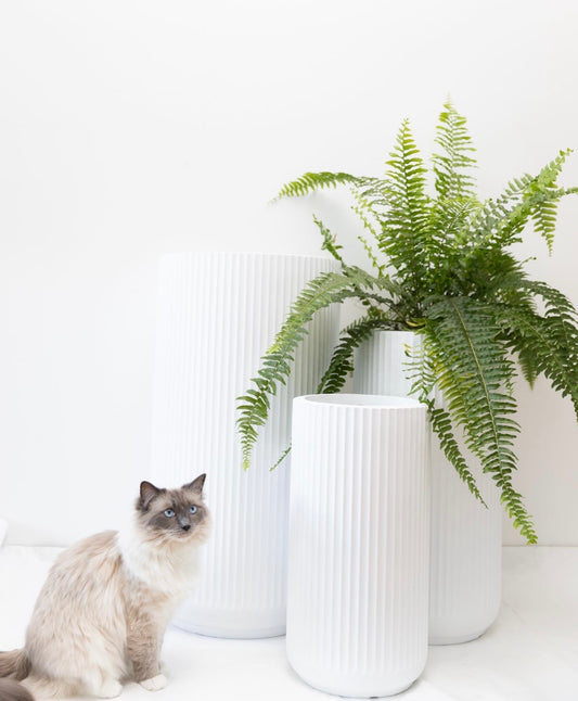 White tall corrugated U pot - Large