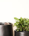 Load image into Gallery viewer, Matte black lightweight pots
