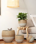 Load image into Gallery viewer, Olive rope pot - Small