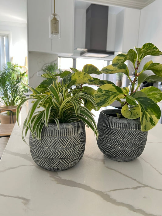 Mini Geo aztec planter