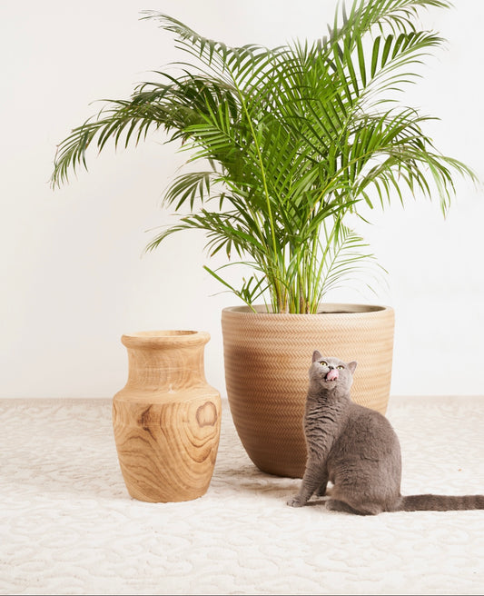 EX DISPLAY Wooden vase - discontinued