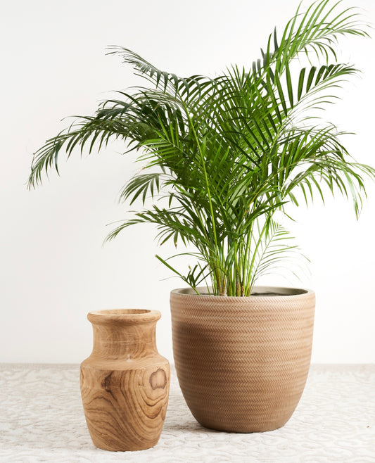 EX DISPLAY Wooden vase - discontinued