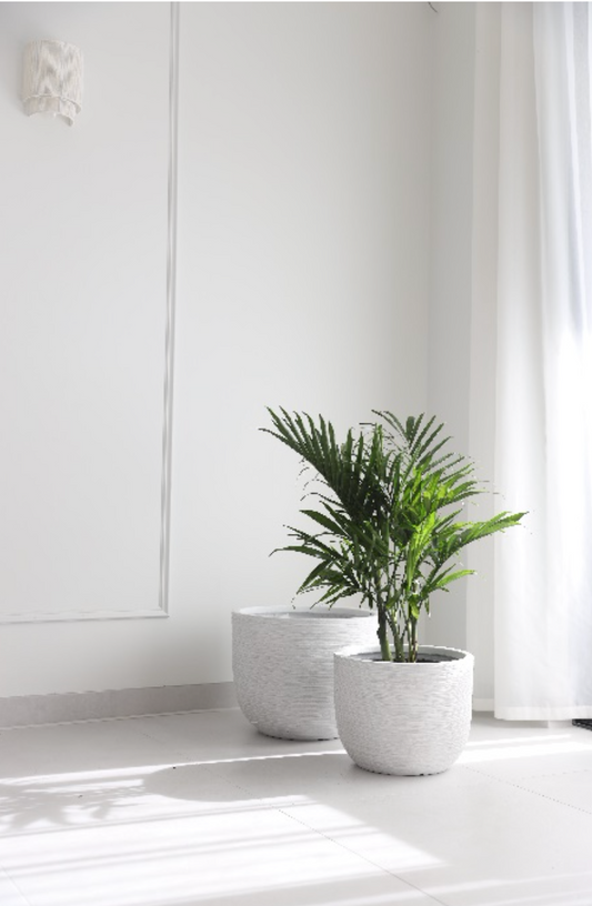 White Wash ripple pots