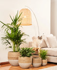 Load image into Gallery viewer, XS - Mini Olive rope pot
