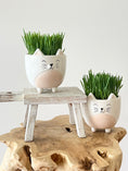 Load image into Gallery viewer, Cat grass in the cat head planter
