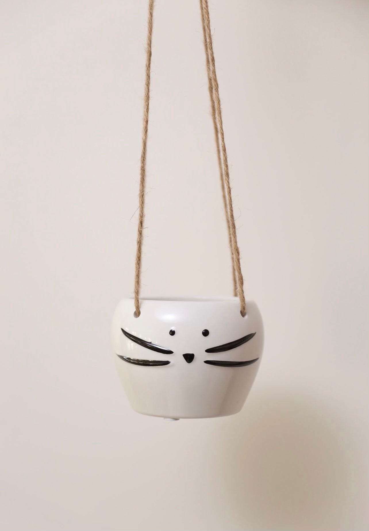 Hanging cat planter