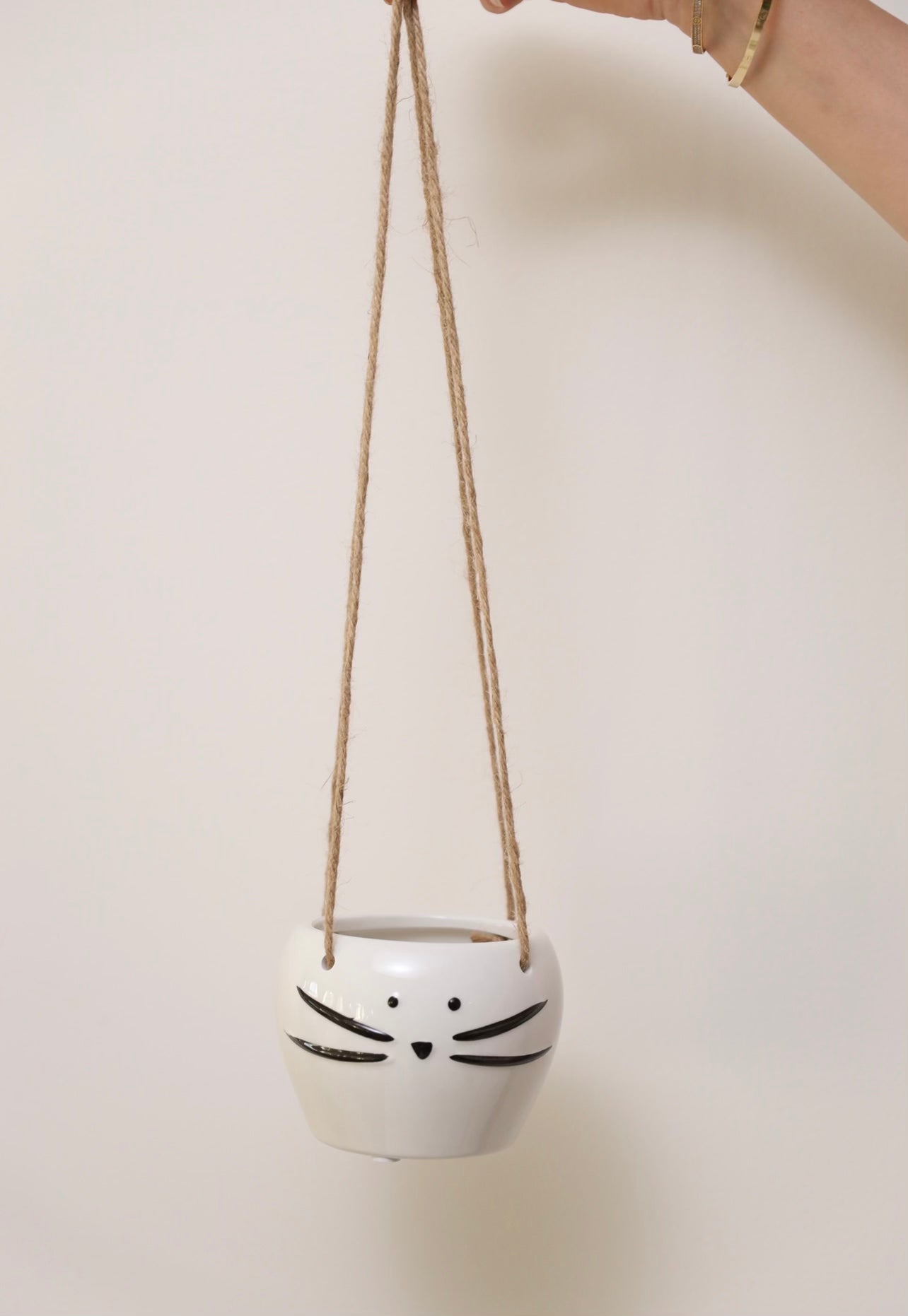 Hanging cat planter