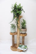 Load image into Gallery viewer, Wooden plant stand - 1.3m
