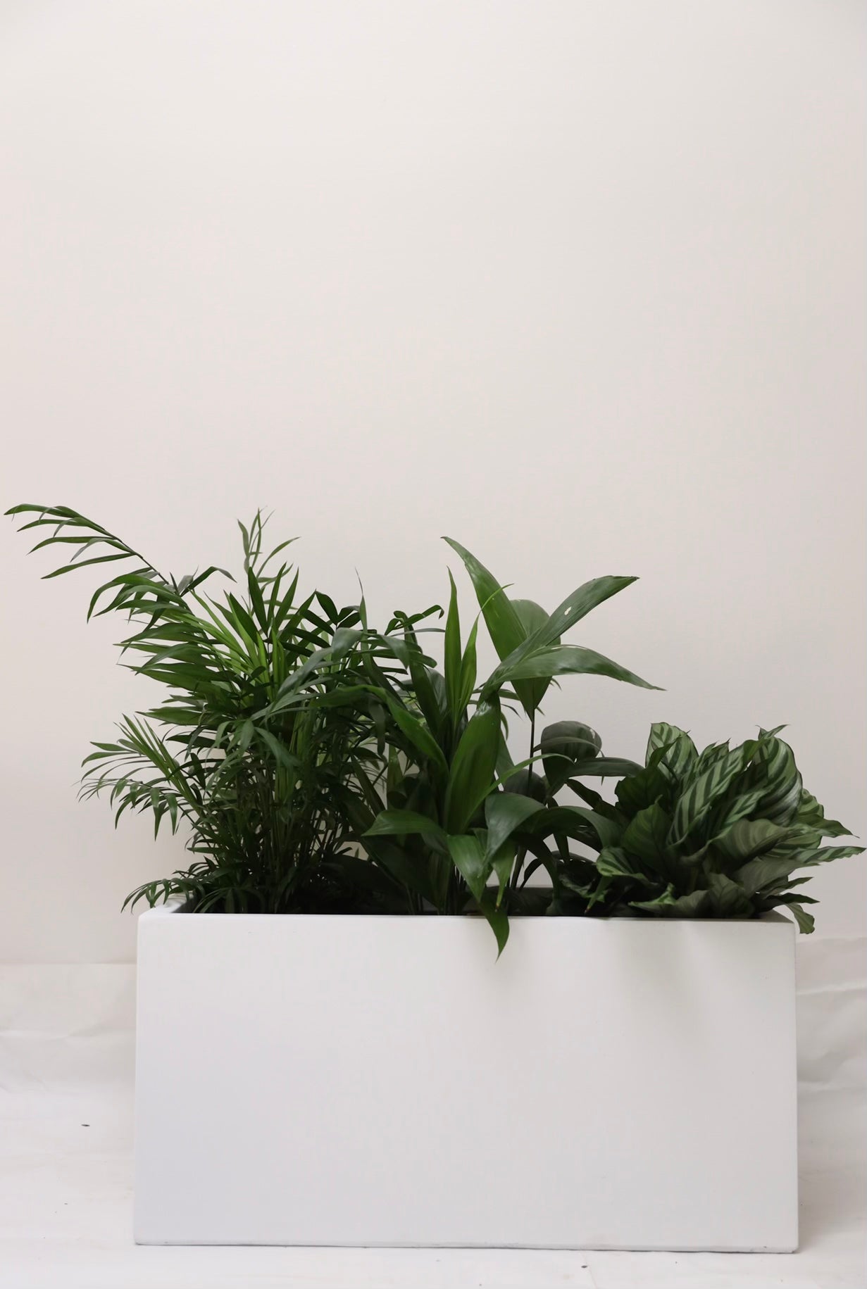 White rectangular planter