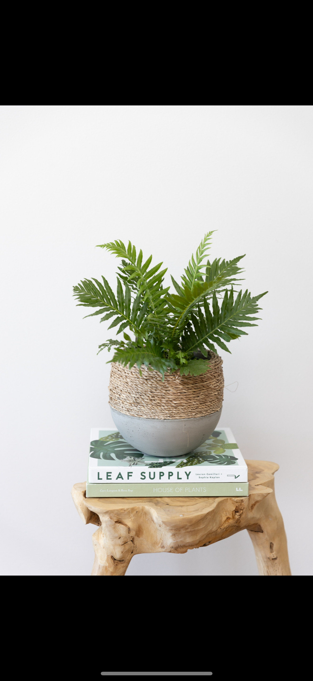 XS - Mini Olive rope pot