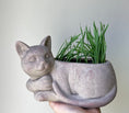 Load image into Gallery viewer, Lazy cat pot with cat grass
