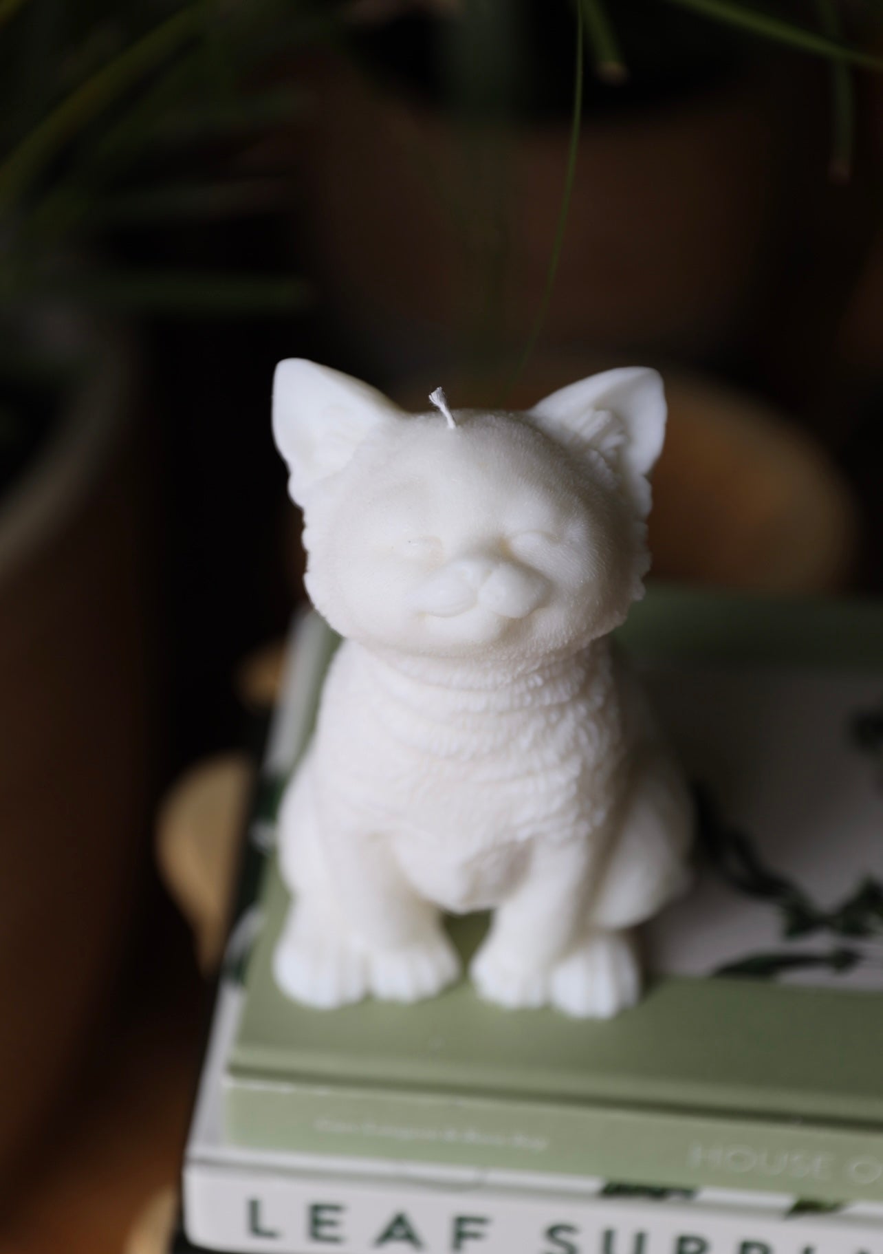 Handmade cat candle