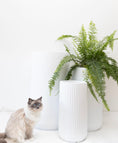 Load image into Gallery viewer, White tall corrugated U pot - Large
