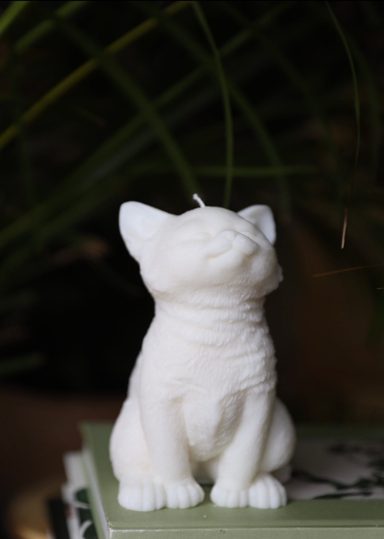 Handmade cat candle