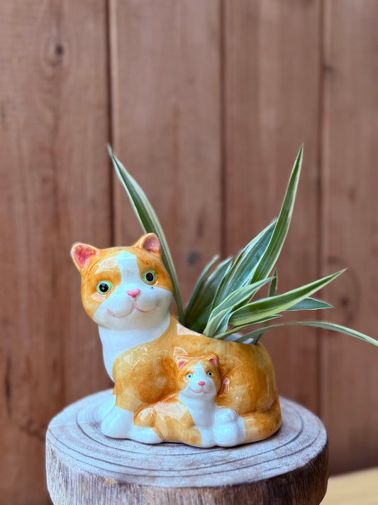 Hugging cats planter - ginger and white