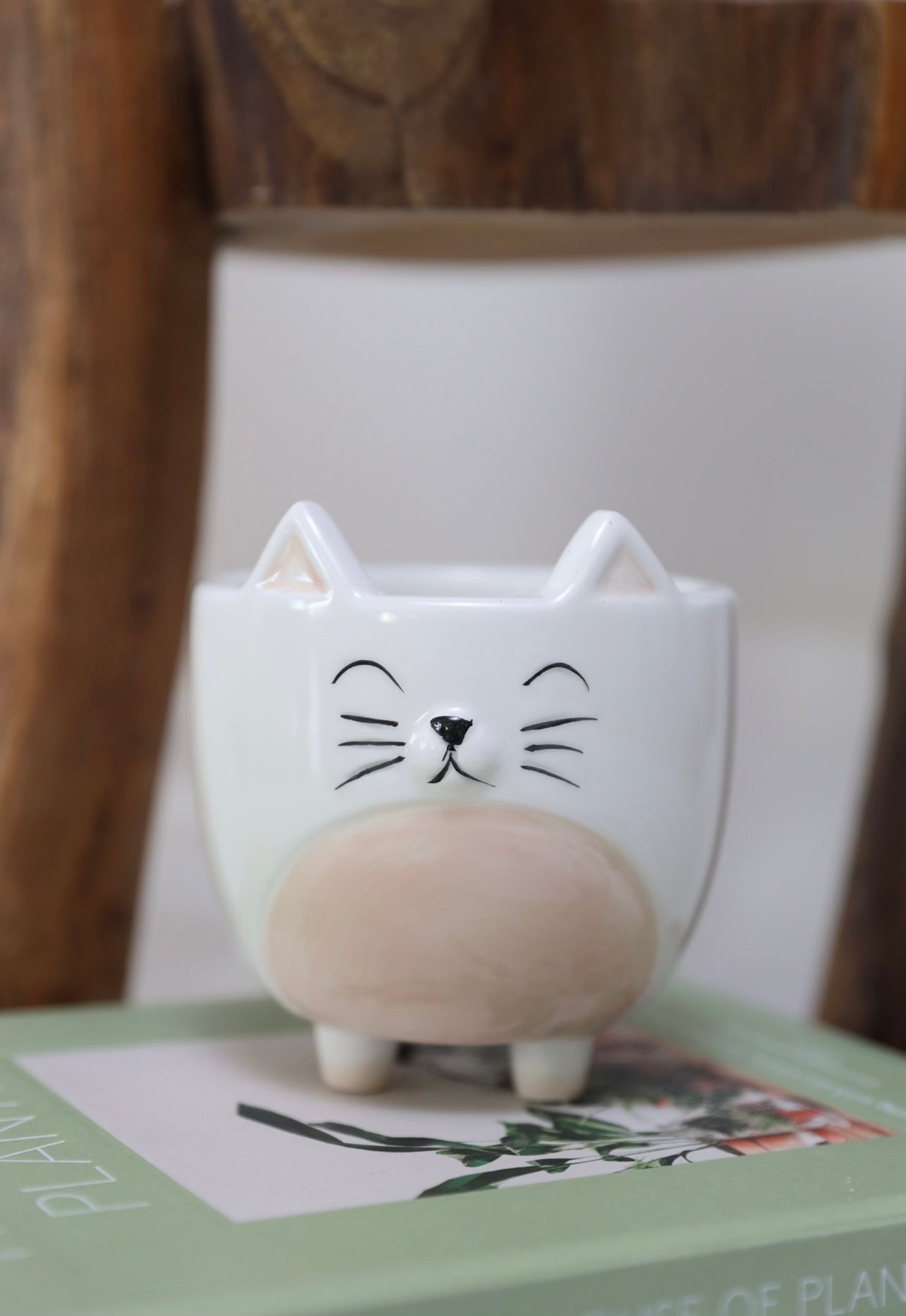 Cat novelty pot planter