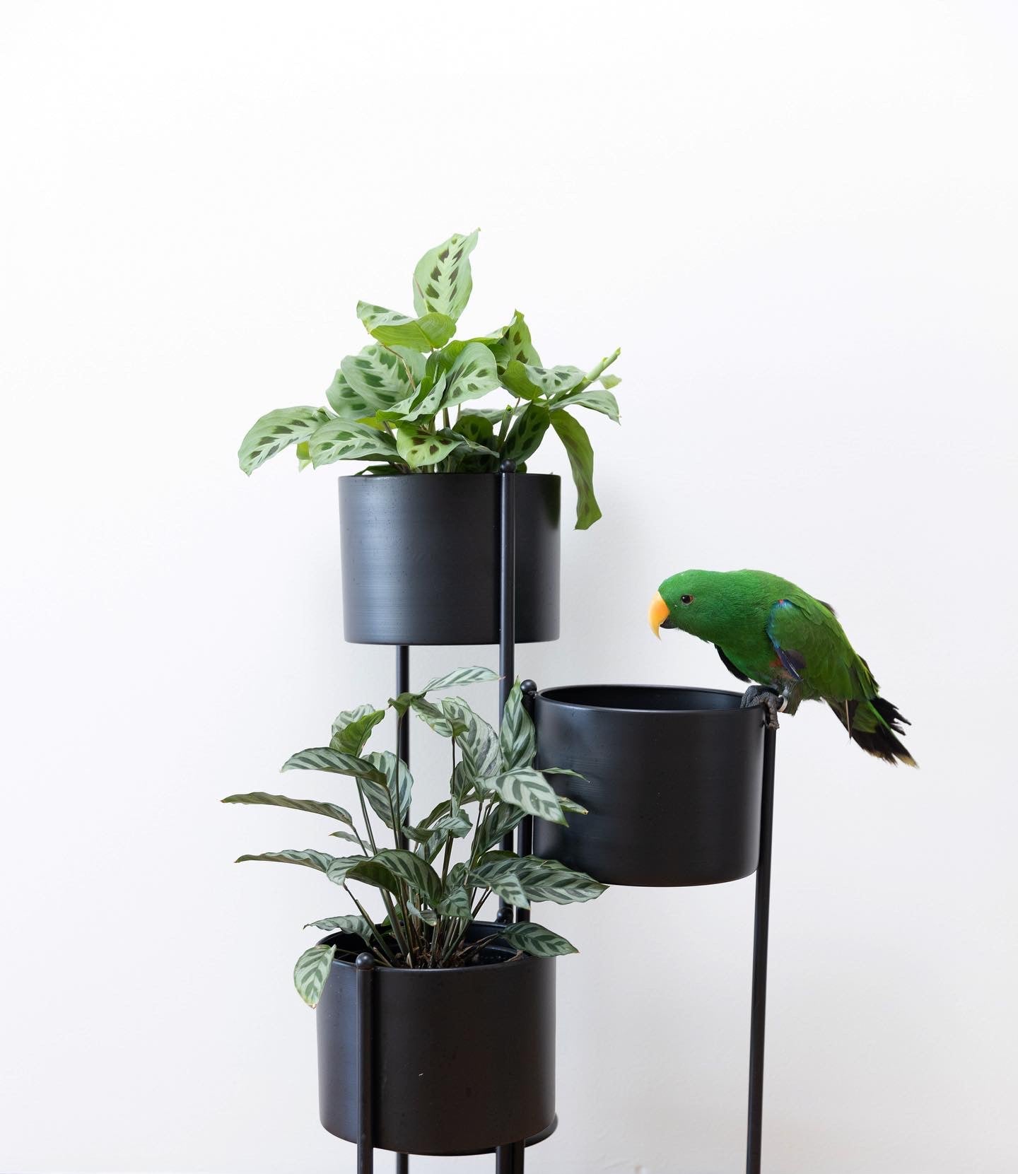 Multi-level planter