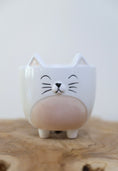 Load image into Gallery viewer, Cat novelty pot planter
