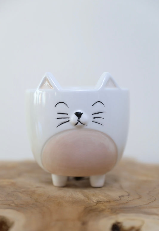 Cat novelty pot planter
