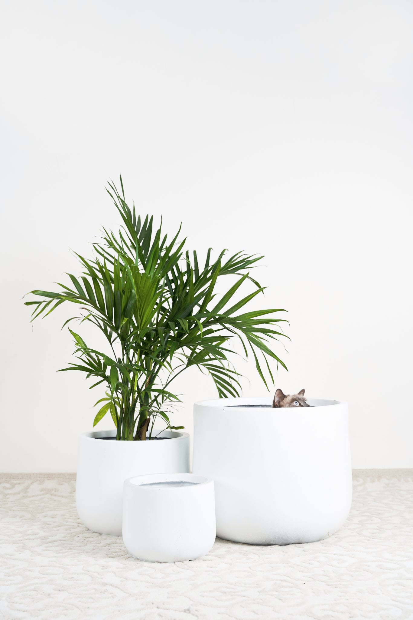 Matte white lightweight pots