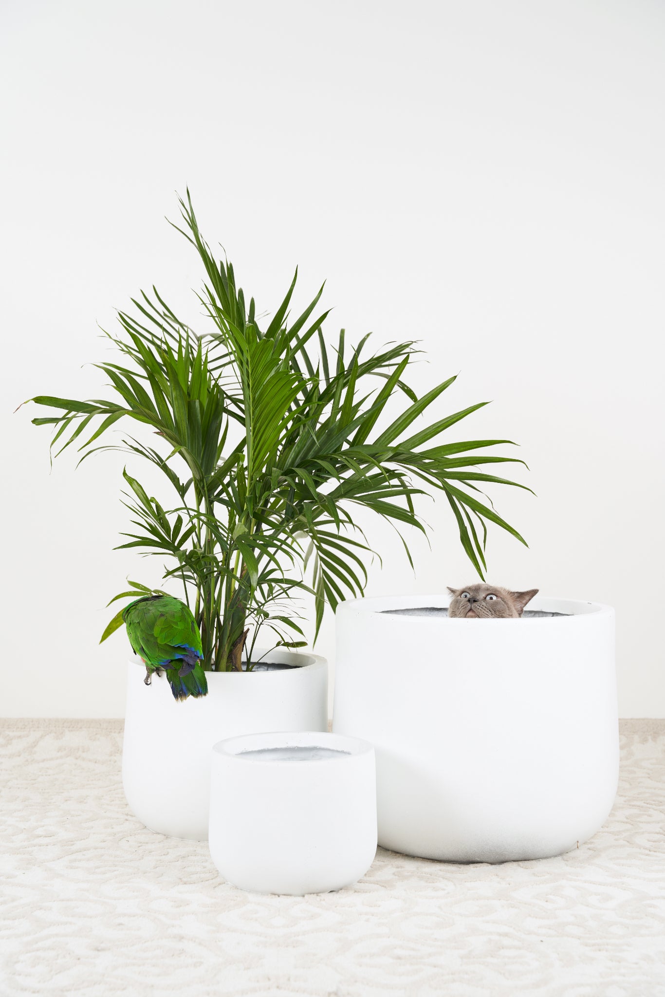 Matte white lightweight pots