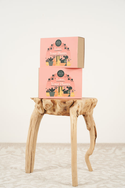 Love your plants gift box