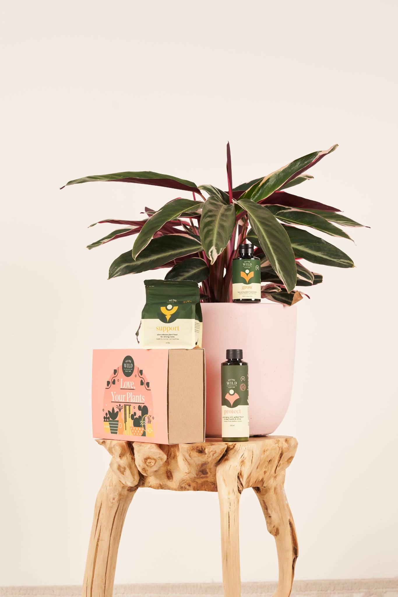 Love your plants gift box