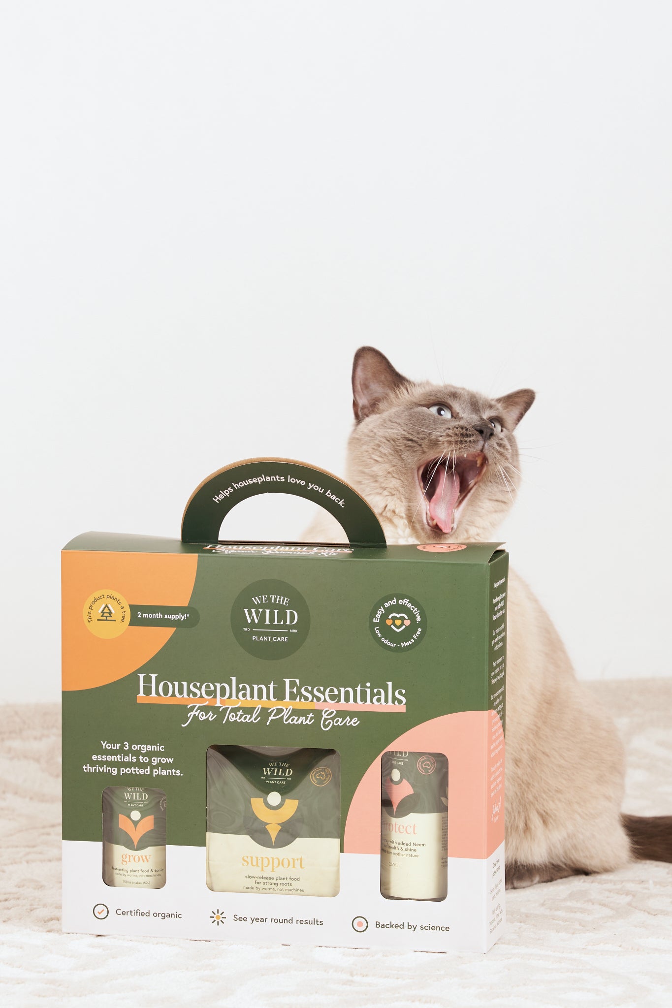 Houseplant essentials care kit