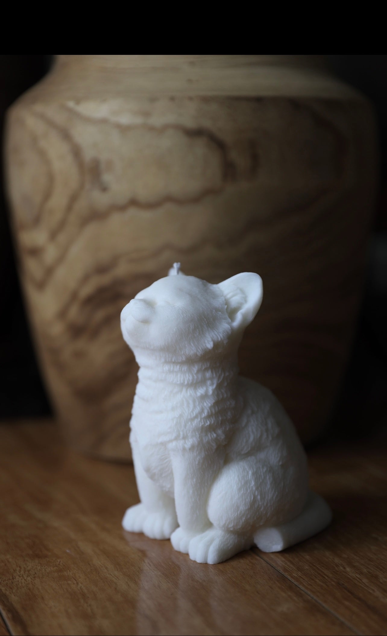 Handmade cat candle