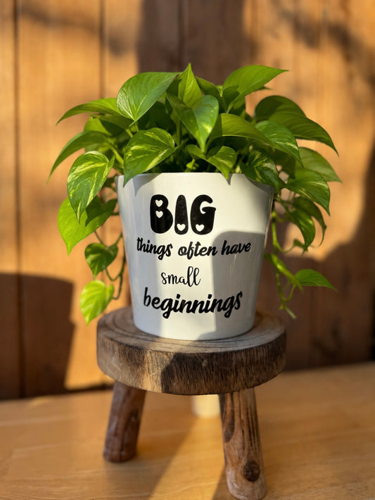 'Big things often have small beginnings' planter