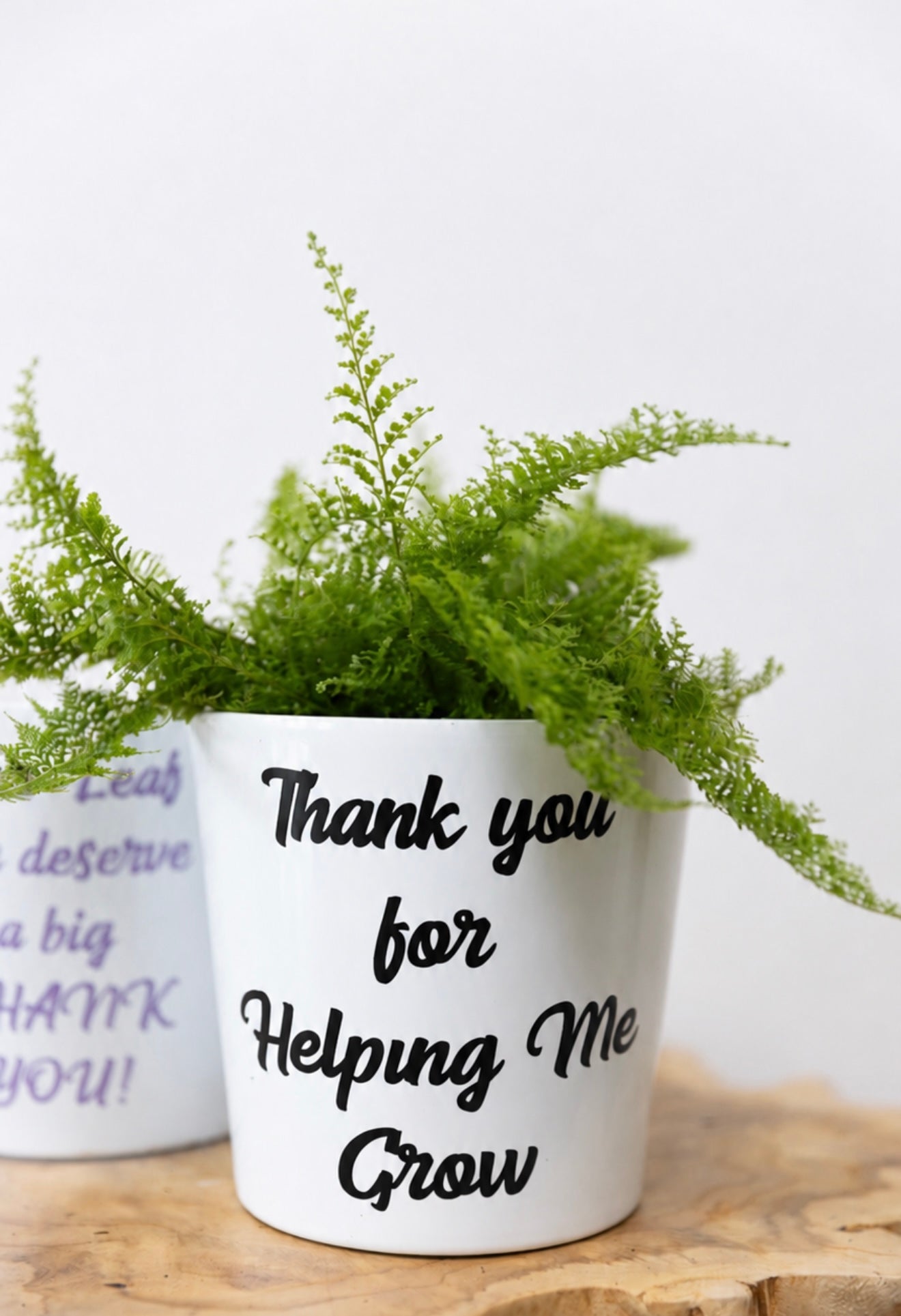 ' Thank you for helping me grow' planter