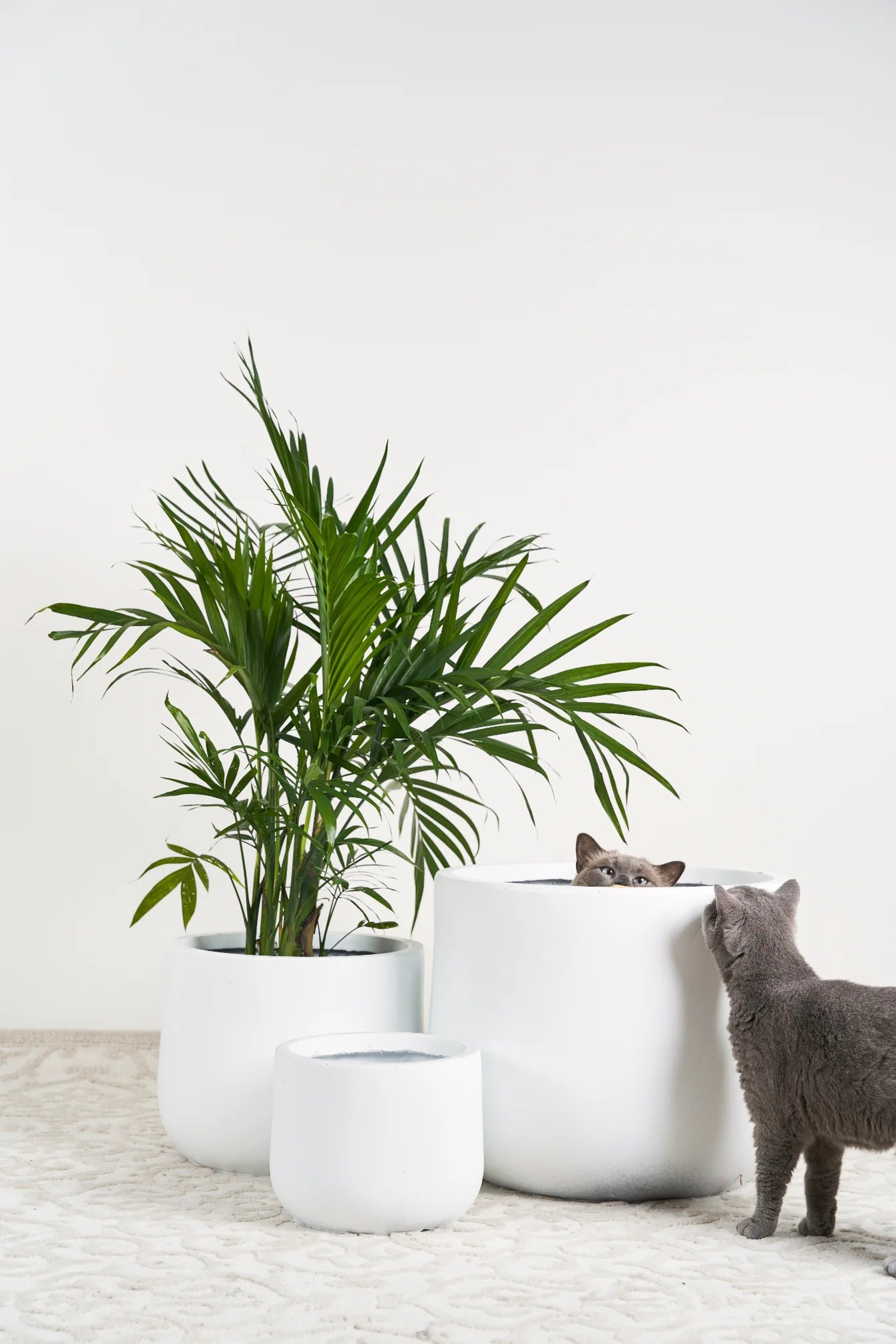 Matte white lightweight pot - Large