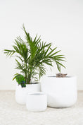 Load image into Gallery viewer, Matte white lightweight pot - Large
