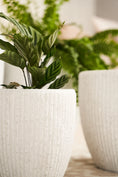 Load image into Gallery viewer, Fluted cone pot - Large
