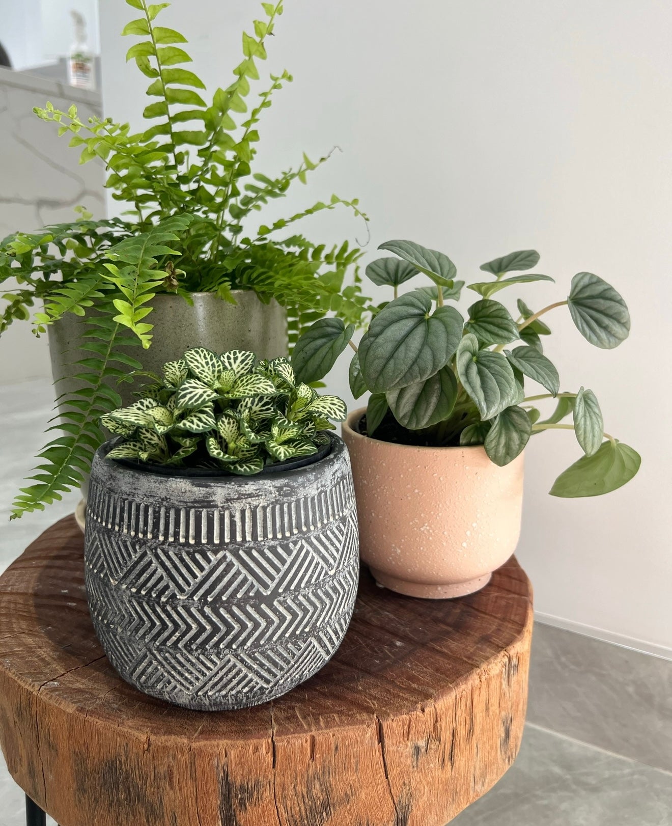 Mini Geo aztec planter