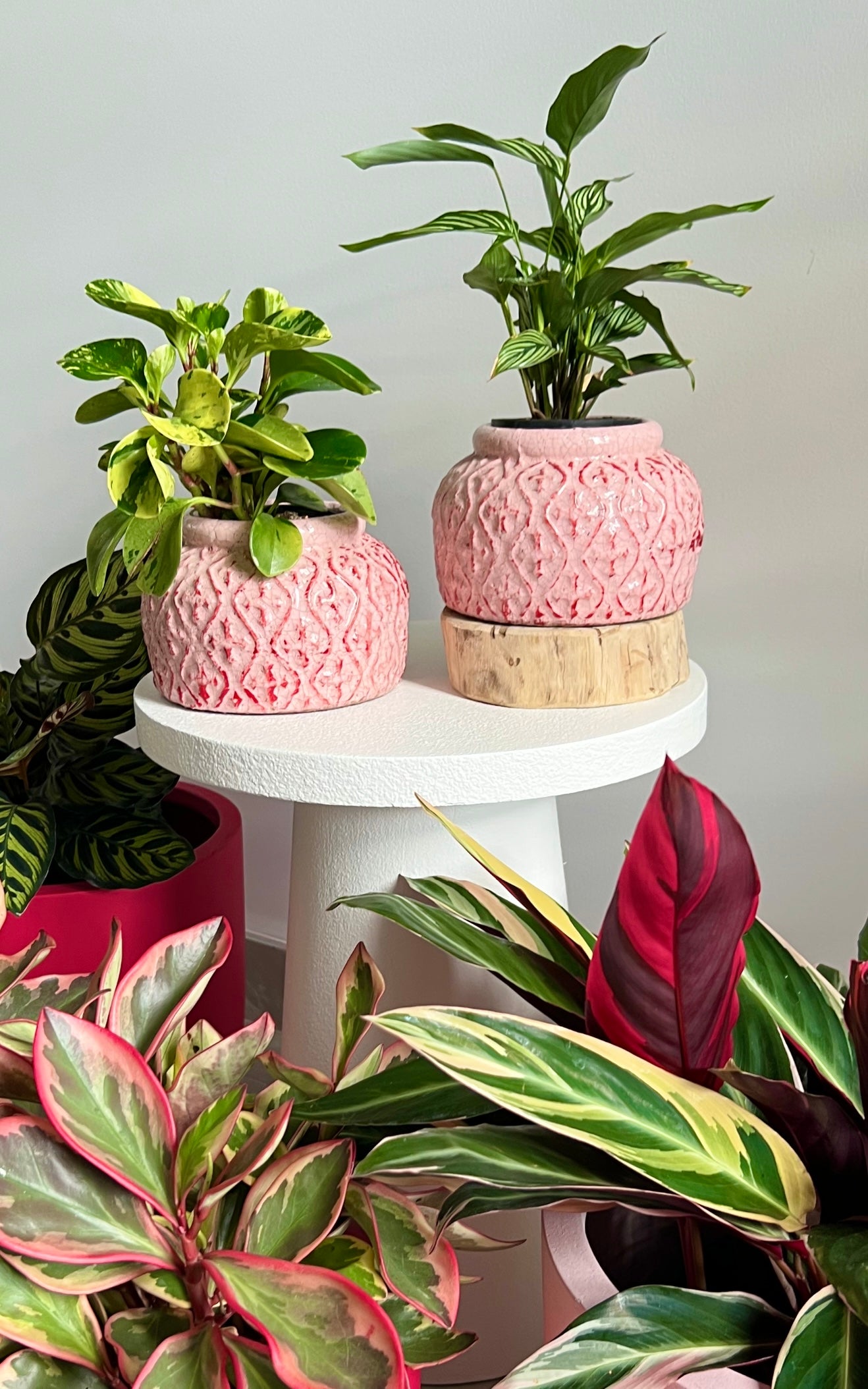 Tang planter - Baby pink