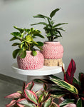 Load image into Gallery viewer, Tang planter - Baby pink
