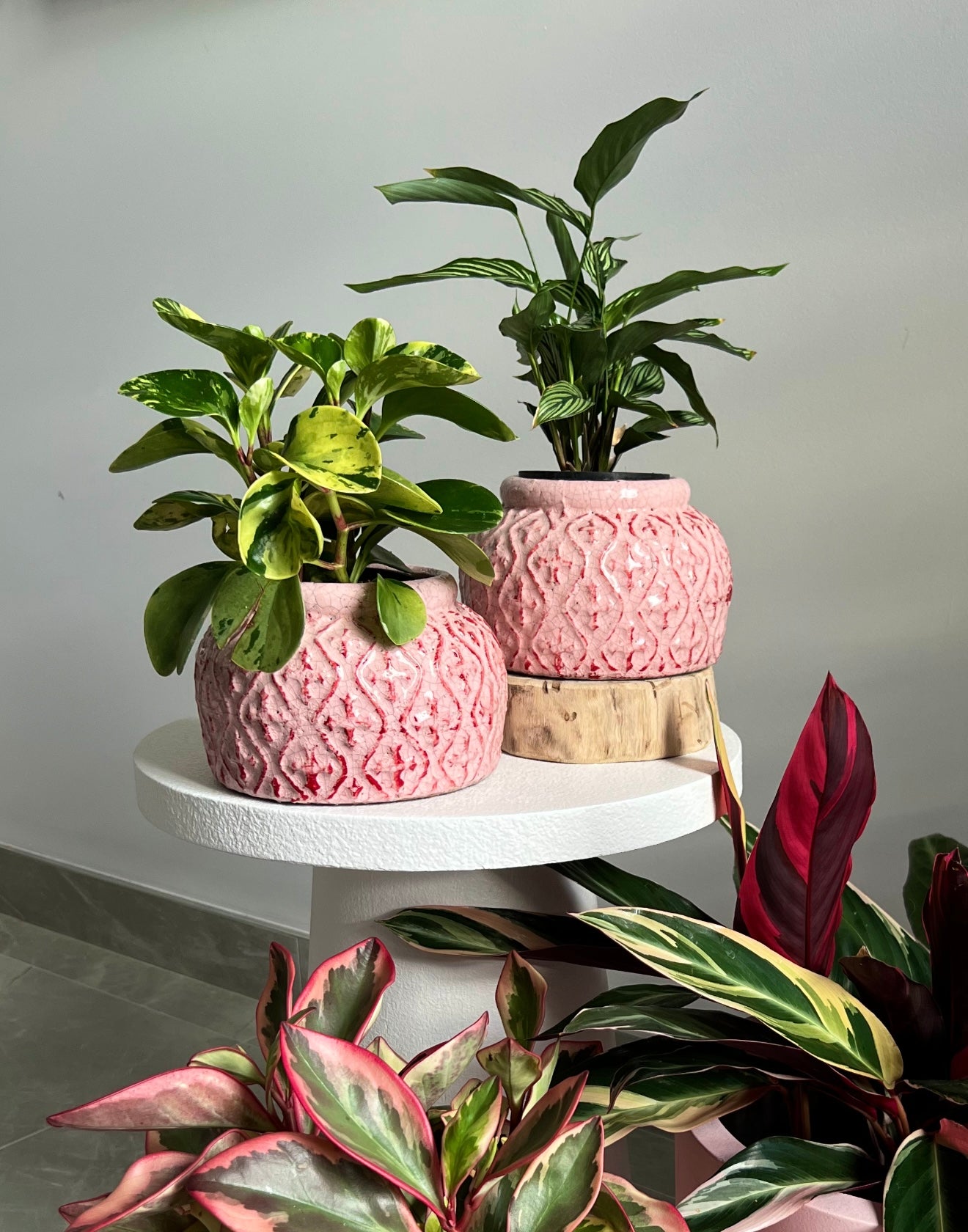 Tang planter - Baby pink