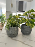 Load image into Gallery viewer, Mini Geo aztec planter
