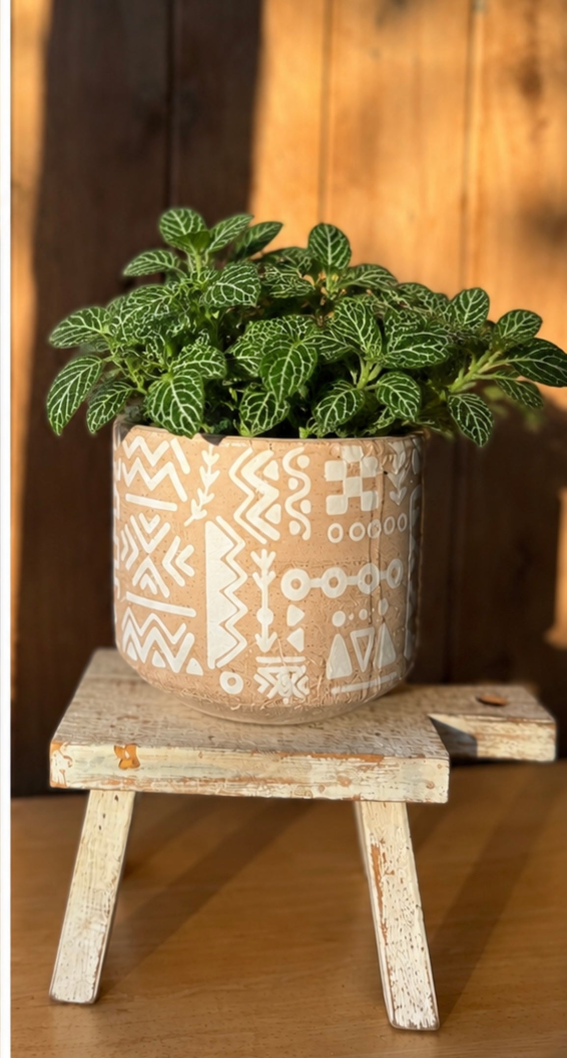 Tribal planter