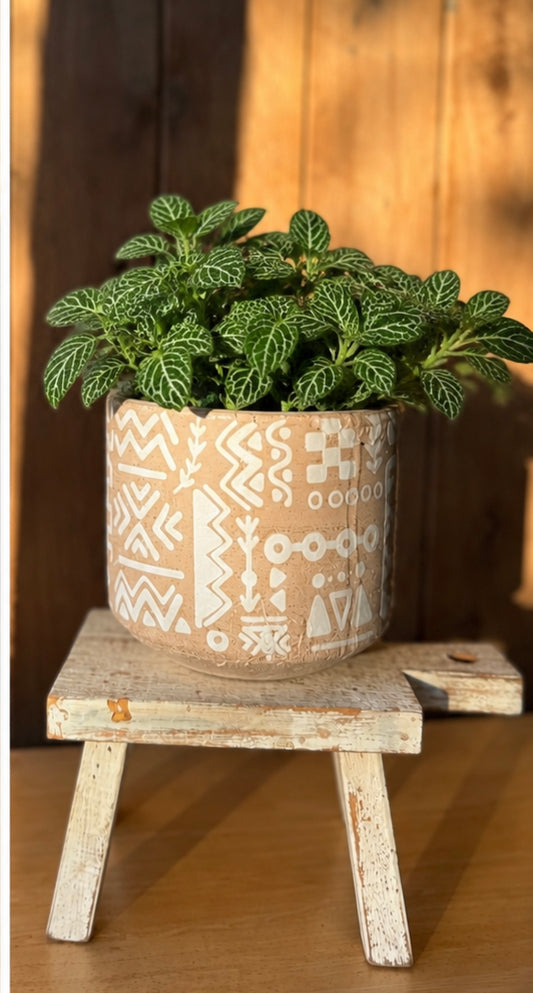 Tribal planter