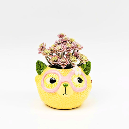 Tropicana cat lemon planter yellow