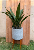 Load image into Gallery viewer, EX HIRE pot - Concrete grey planter on legs
